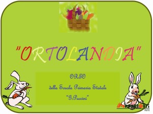 40x30ortolandia